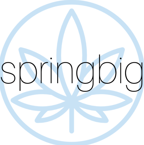 Springbig Logo